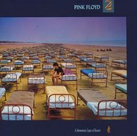 A Momentary Lapse of Reason