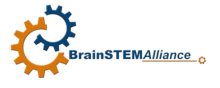 BrainSTEM logo