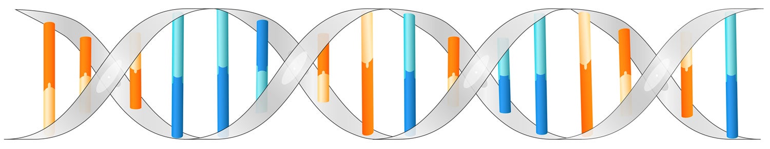 illustration of DNA molecule