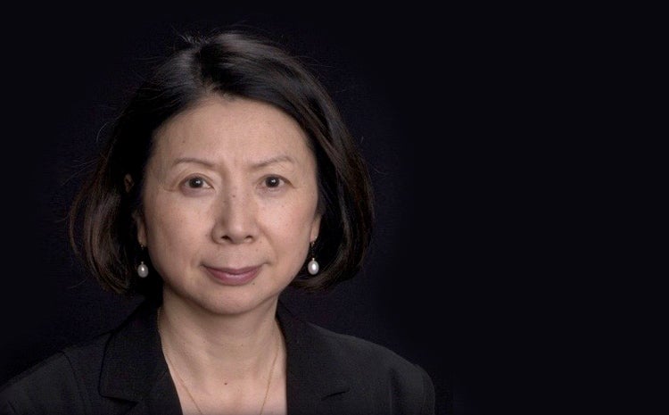 Professor Yuying Li