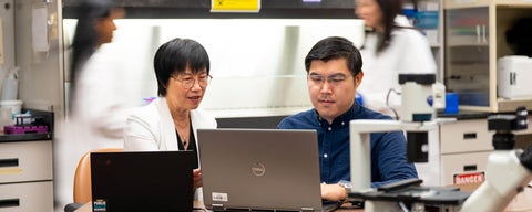 Professor Helen Chen and CS PhD candidate Bing Hu in a lab