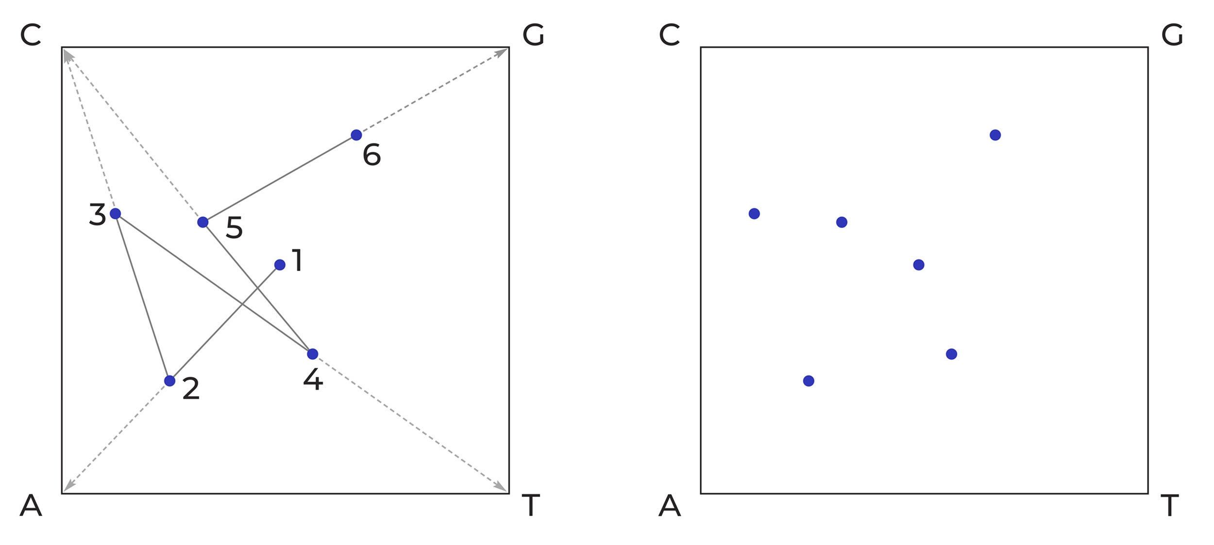 Chaos Game Representation of the nucleotide sequence ACTCG