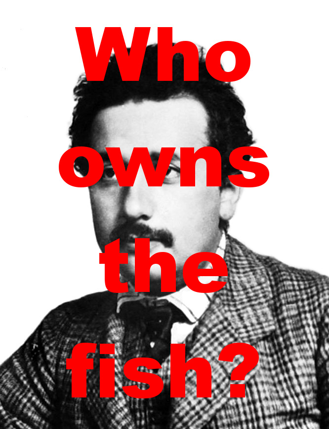 Einstein with the text 'Who owns the fish?'