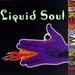 Liquid Soul -- Make Some Noise