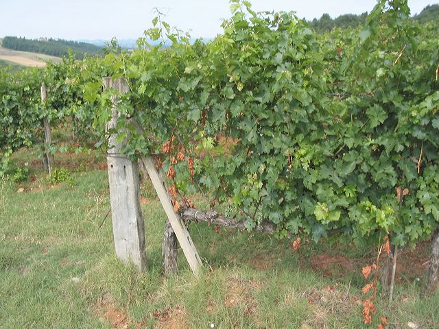 img_3467.jpg