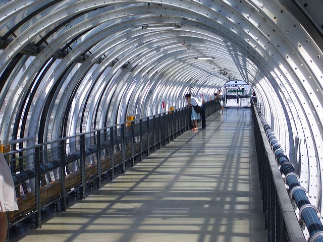 imgp0594.jpg